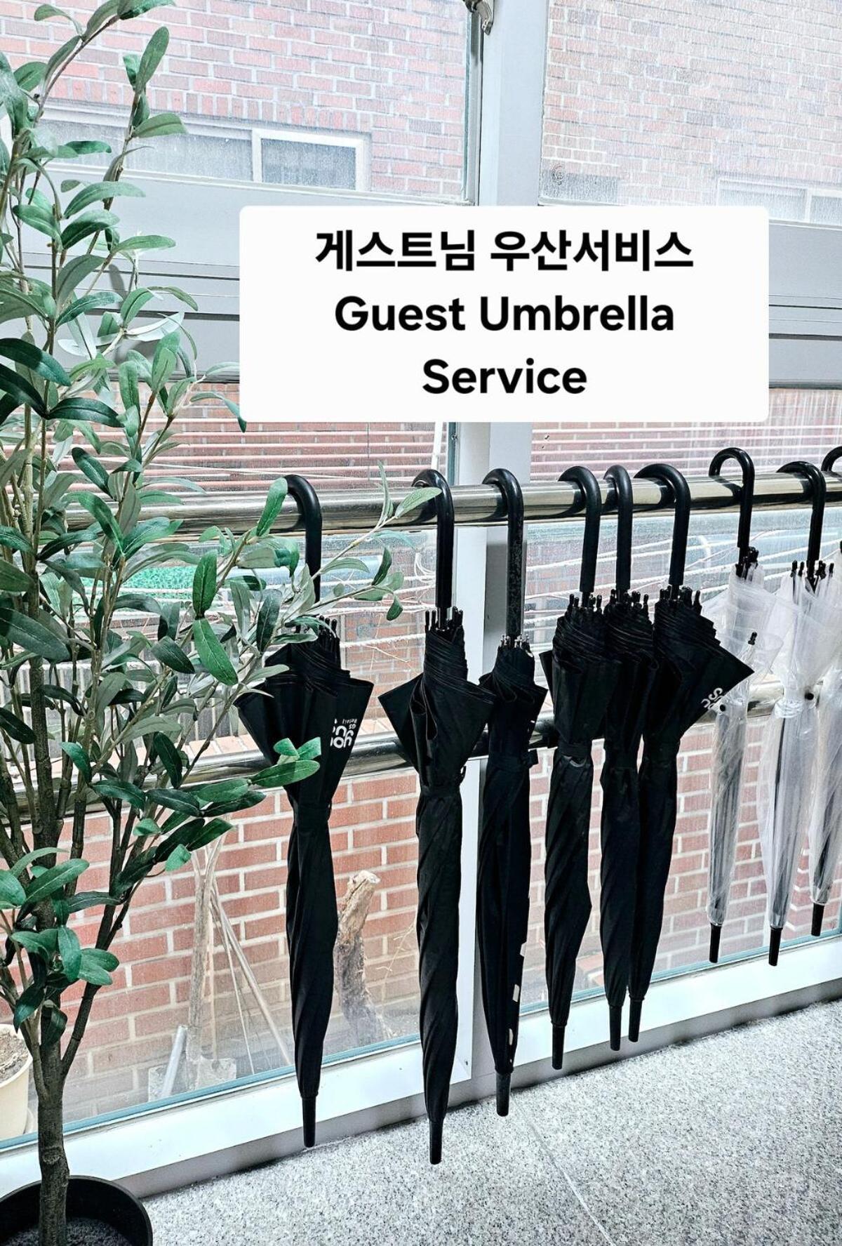 Villa Renee House
